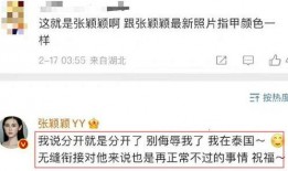 葛斯齐说张颖颖视频爆料,揭秘背后惊人内幕